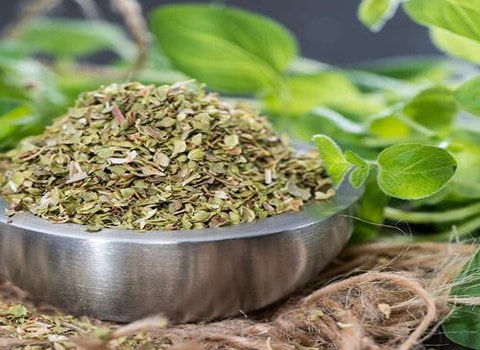 قیمت خرید آویشن کوهی خشک عمده به صرفه و ارزان